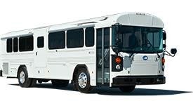 All American RE - Activity