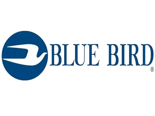 blue bird